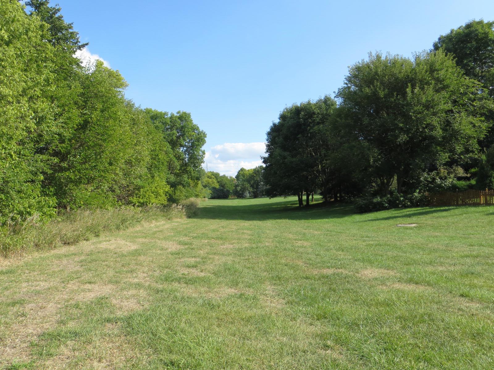 Green meadows as far as the eye can see