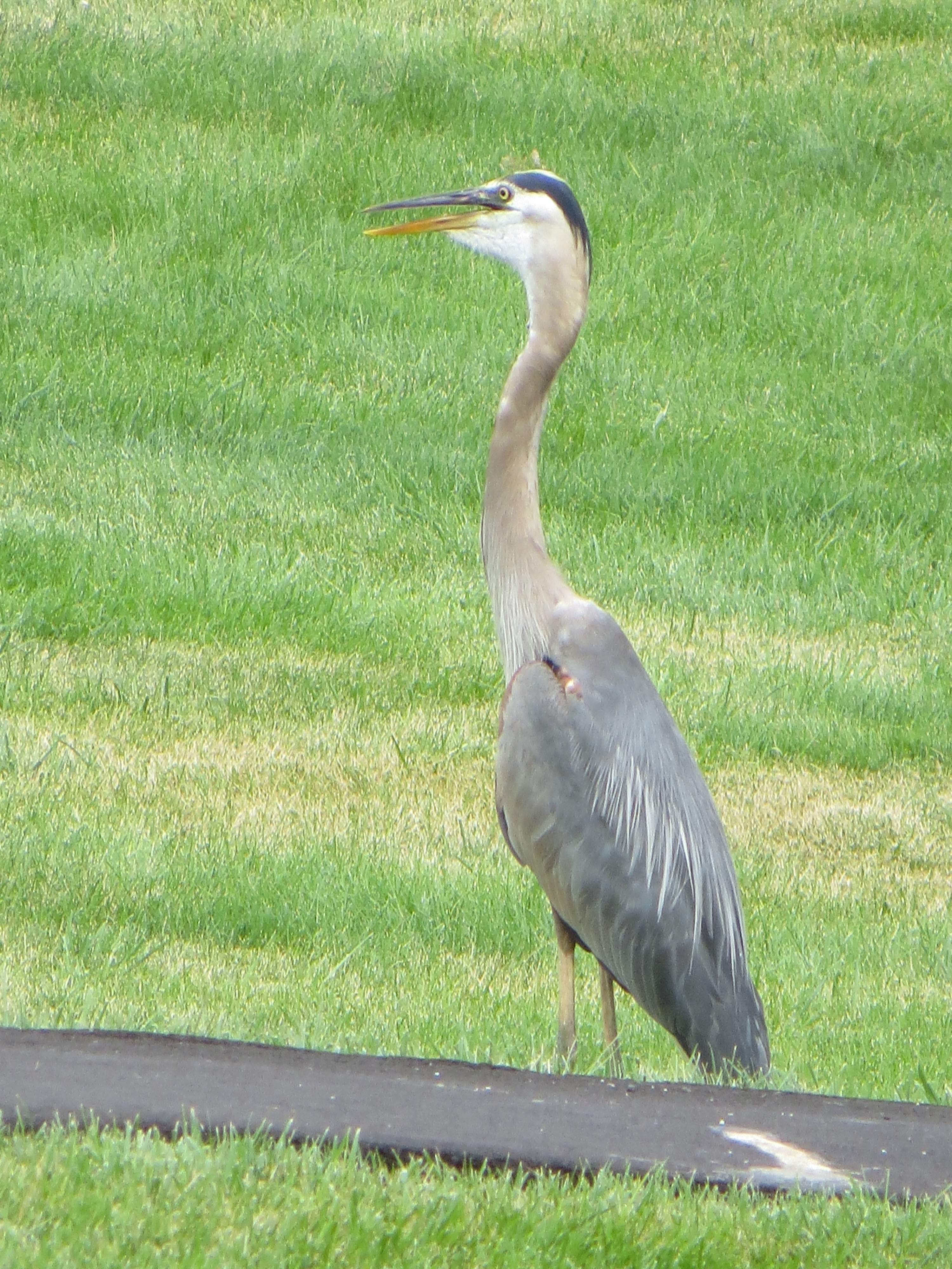 Popular for its fishing