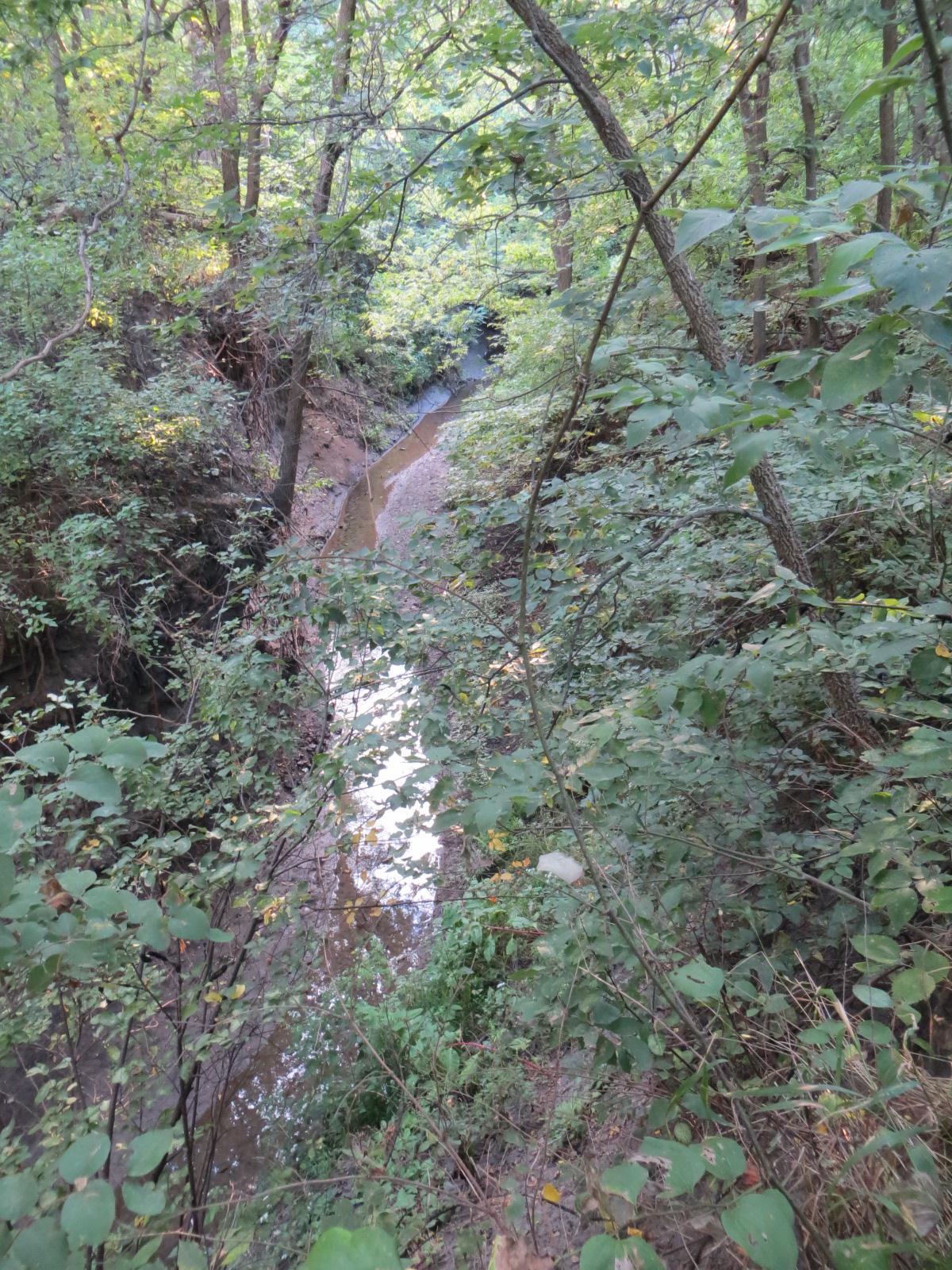 Unspoiled wilderness