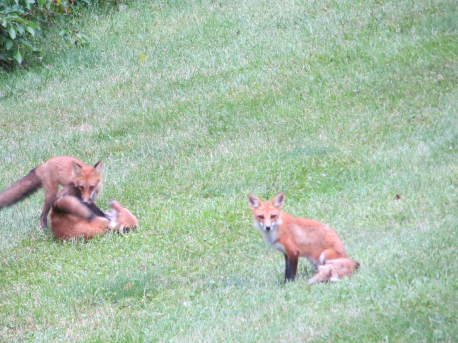 A great place to raise a family