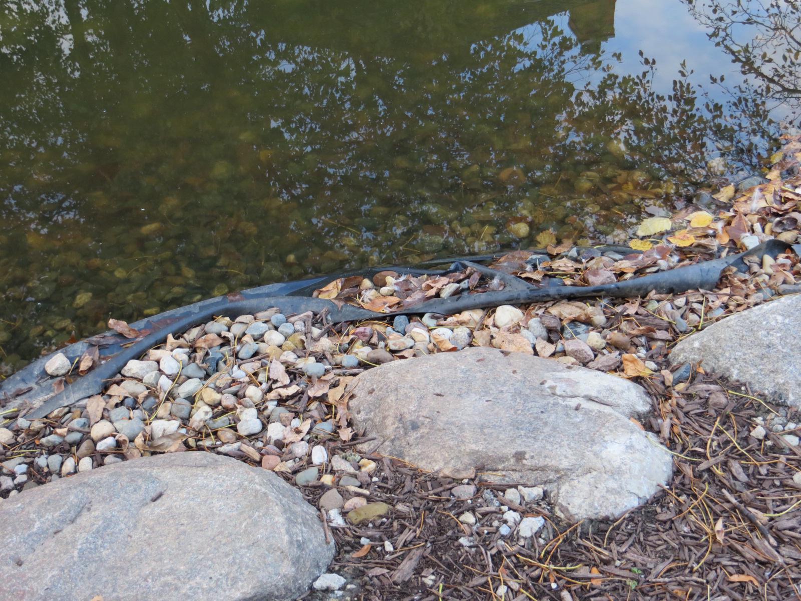 Rocks are failing to conceal the liner